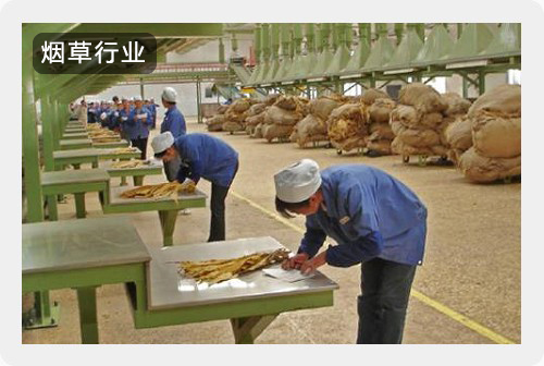煙草行業解決方案